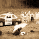 Illustration for article titled Shooting Challenge Steal Gallery